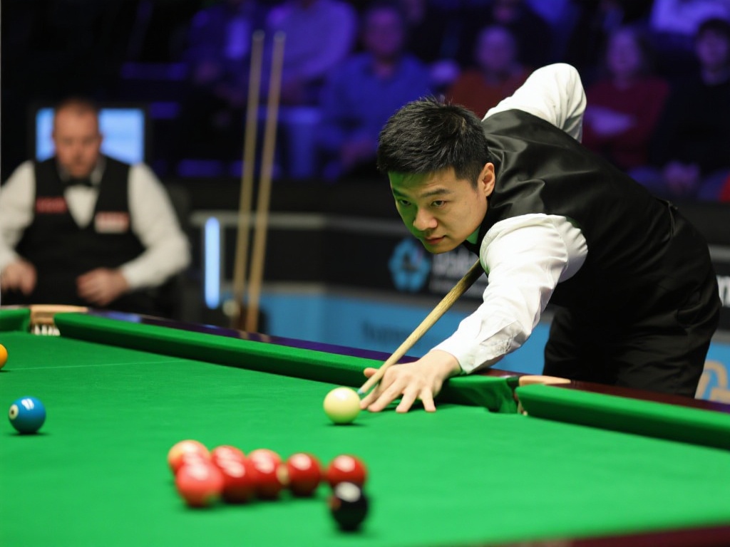 实案例可以 实案例可以